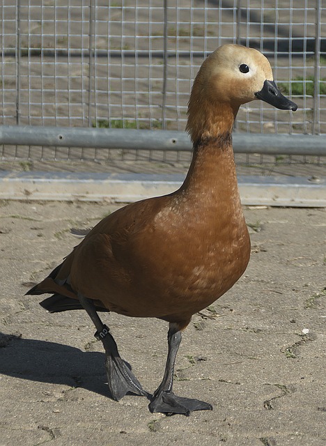 刻来定义他