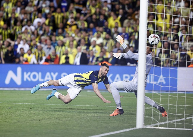 这种双向的 这种双向的