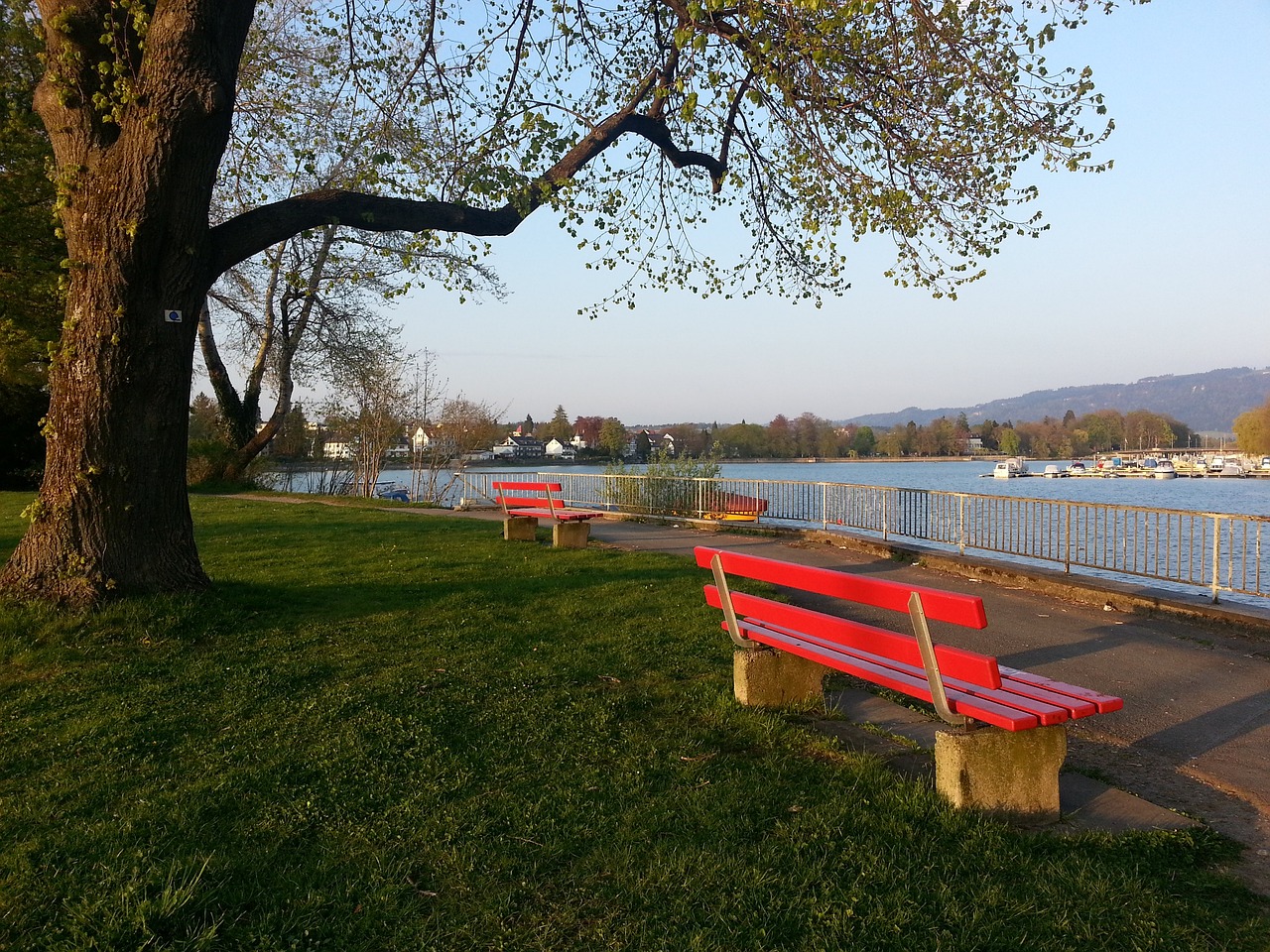 鹰核心球员 鹰核心球员