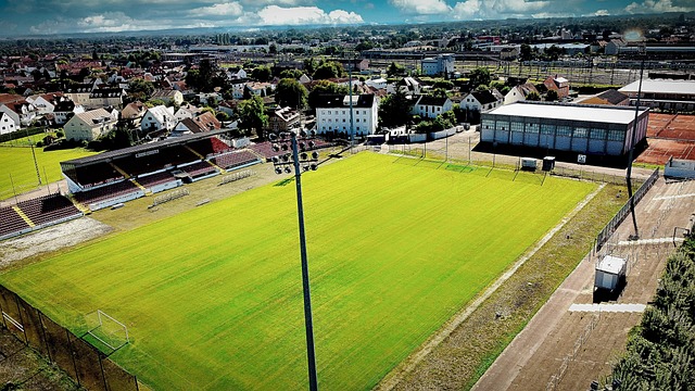 在谈到与伦 在谈到与伦