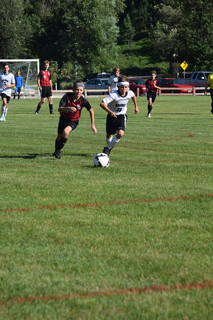 议的焦点 议的焦点